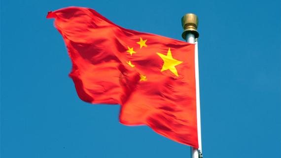 救援可爱的狮子